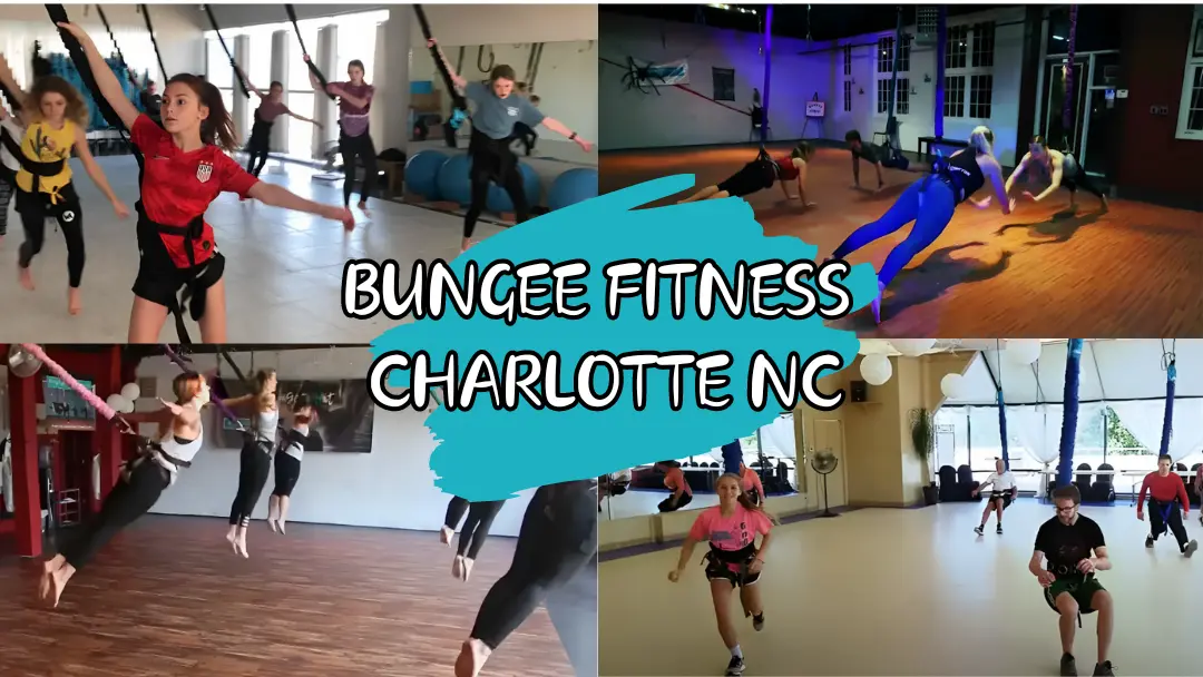 bungee fitness charlotte nc
