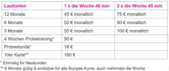 bungee fitness germany price
