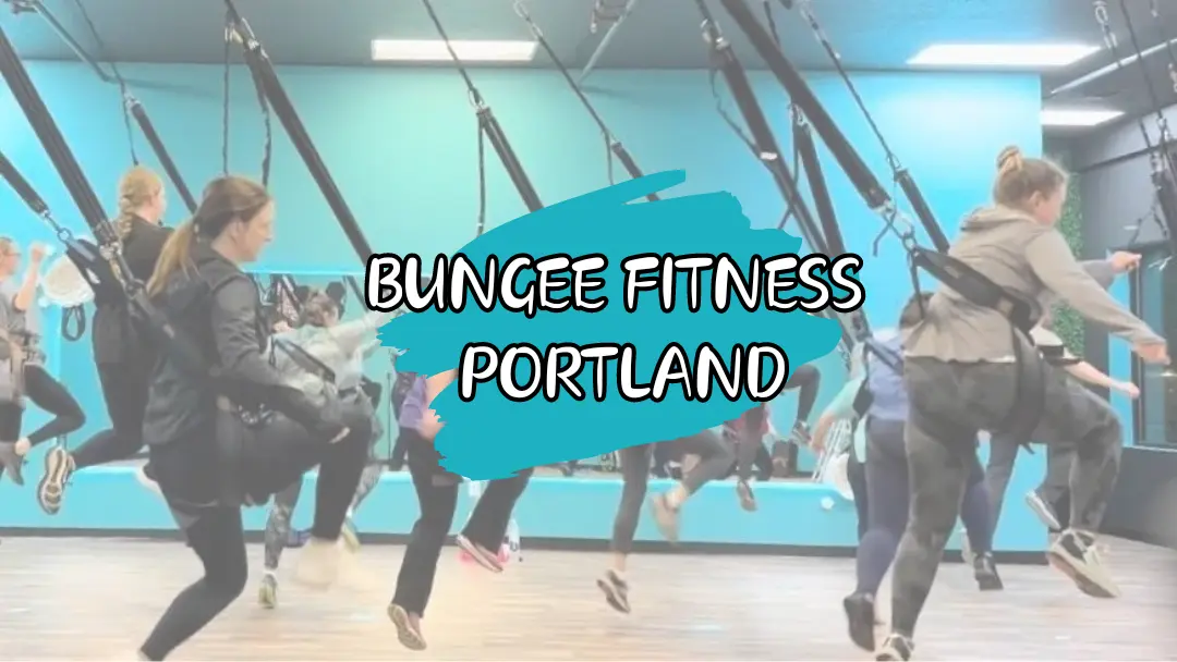 Bungee fitness portland