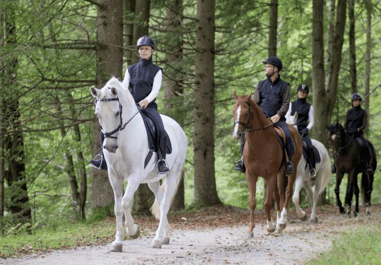 Upgrading Your Equine Travel Experience with Smart Horse Riding Gear