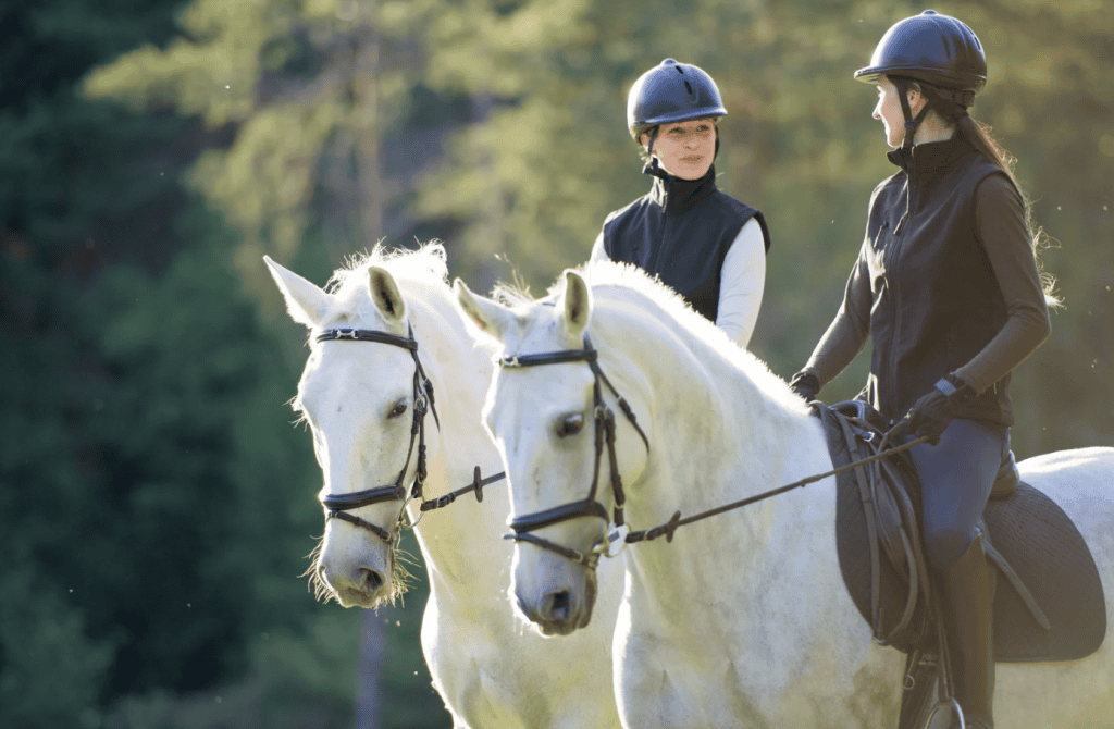horse riding gear
