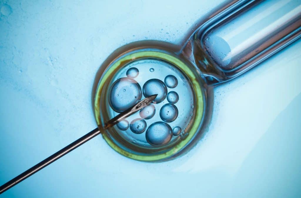 ivf specialist