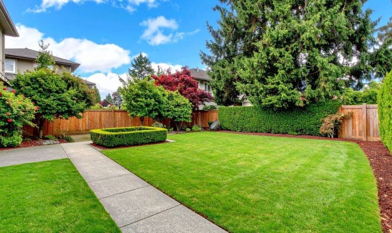 The Fall Yard Tasks That Actually Prep Your Home for Winter